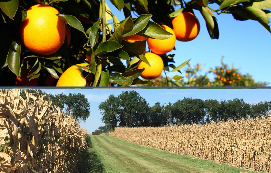 farm agricultural legal advisor